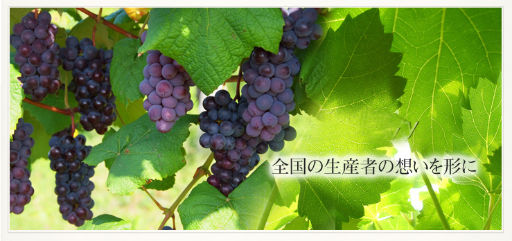 全国の生産者の想いを形に